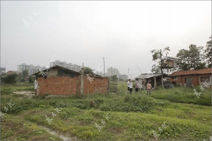 Chinese Farmer Defends His Land Homemade Canon (16 pics)