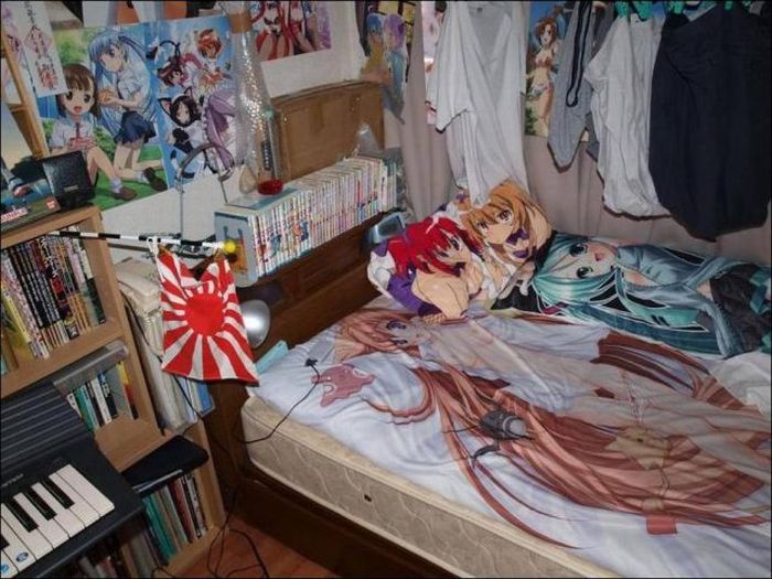 Room of a Manga Fan (6 pics)