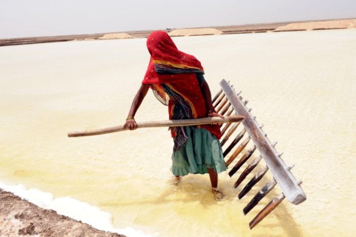 Salt Production in India and Indonesia (28 pics)