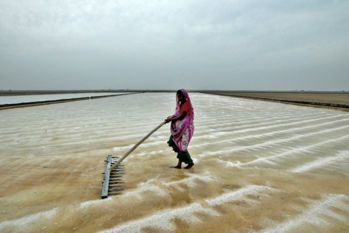 Salt Production in India and Indonesia (28 pics)