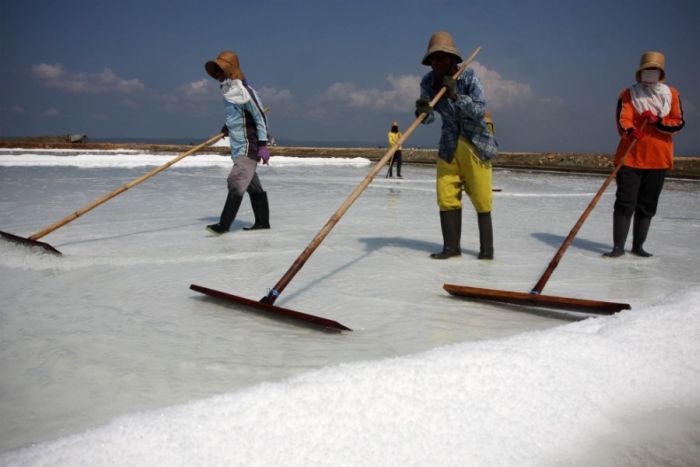 Salt Production in India and Indonesia (28 pics)