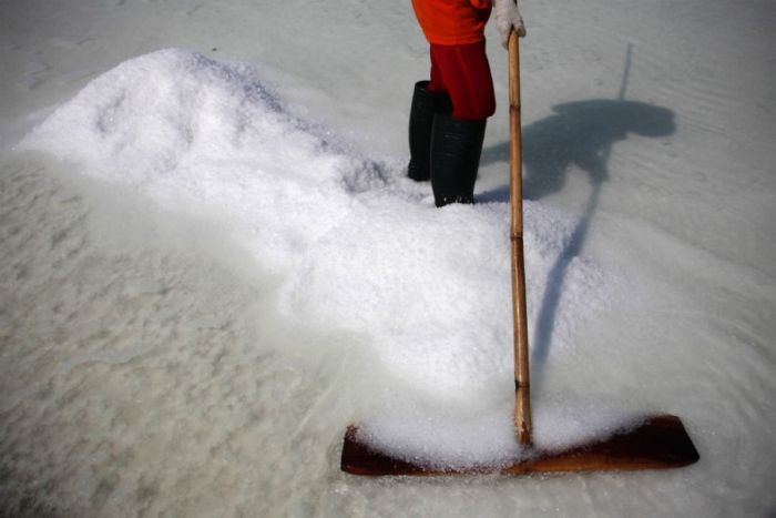 Salt Production in India and Indonesia (28 pics)