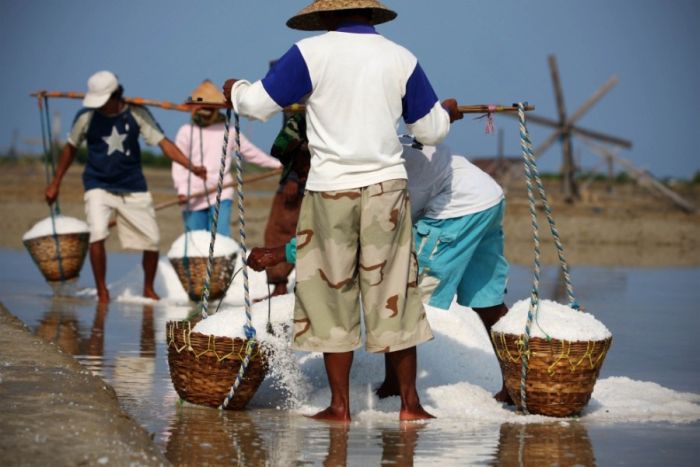 Salt Production in India and Indonesia (28 pics)