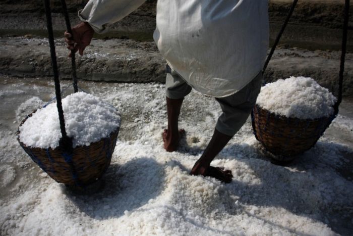 Salt Production in India and Indonesia (28 pics)