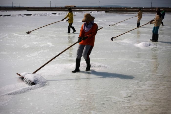 Salt Production in India and Indonesia (28 pics)