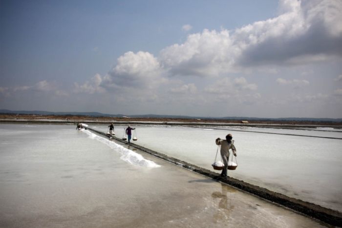 Salt Production in India and Indonesia (28 pics)