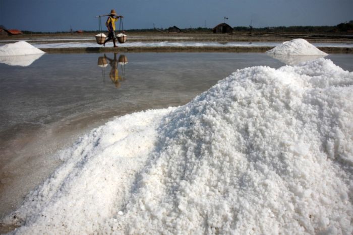 Salt Production in India and Indonesia (28 pics)