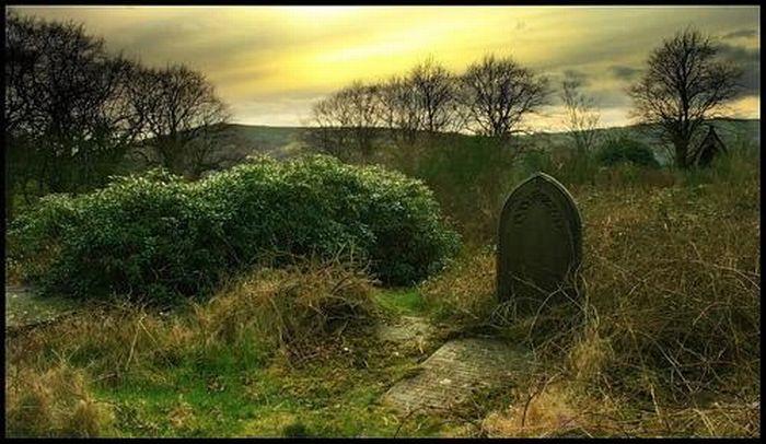 Spooky but Beautiful Photographs Taken in Graveyards (34 pics)