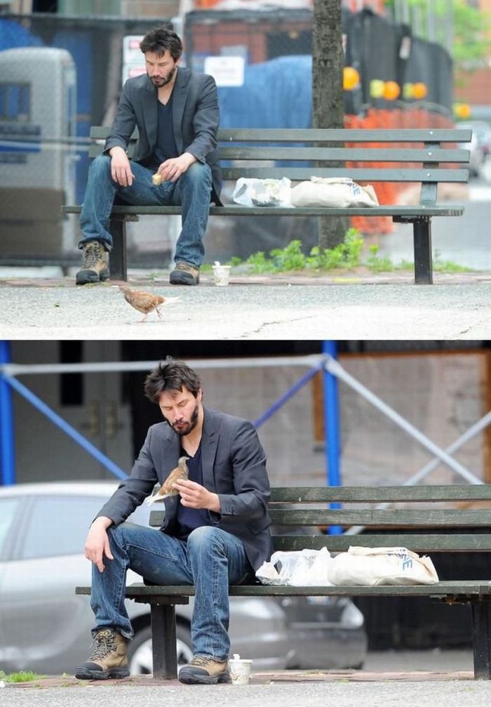 Sad Keanu Reeves is Being Photoshopped (42 pics)