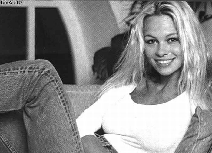 Young Pamela Anderson (67 pics)
