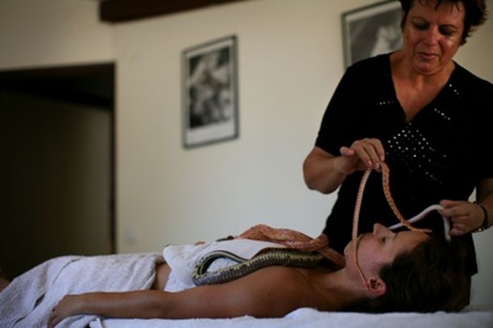 Snake Massage (13 pics)