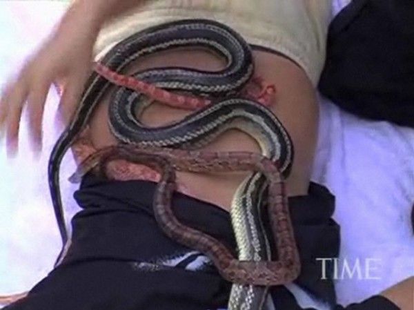 Snake Massage (13 pics)