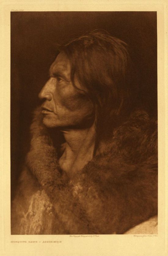 Apache Photo Portraits (26 pics)