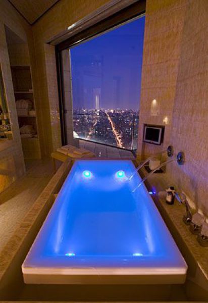 Ty Warner Penthouse suite in Four Seasons Hotel (32 pics)