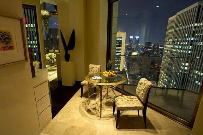 Ty Warner Penthouse suite in Four Seasons Hotel (32 pics)