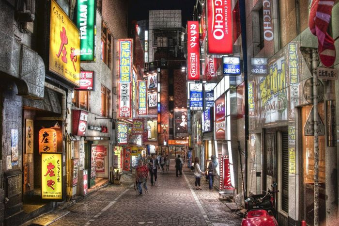 Beautiful Photos of Tokyo in HDR (74 pics)