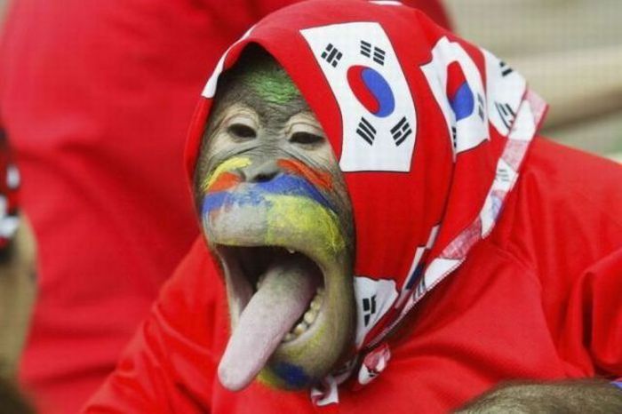 Crazy Costumes of World Cup Fans (45 pics)