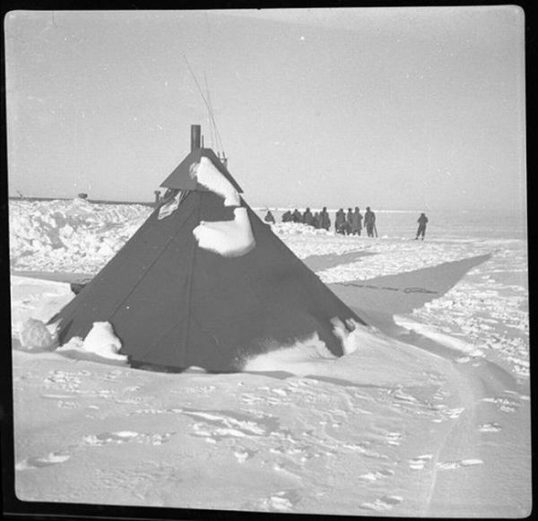 Arctic Expedition (25 pics)