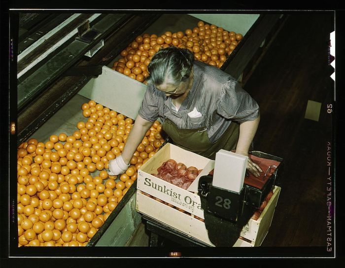 Jack Délano - the Man Who Colored the Forties (18 pics)