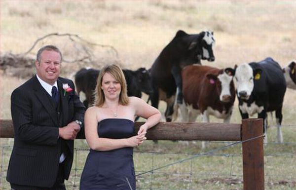 Ruined Wedding Photos (25 pics)
