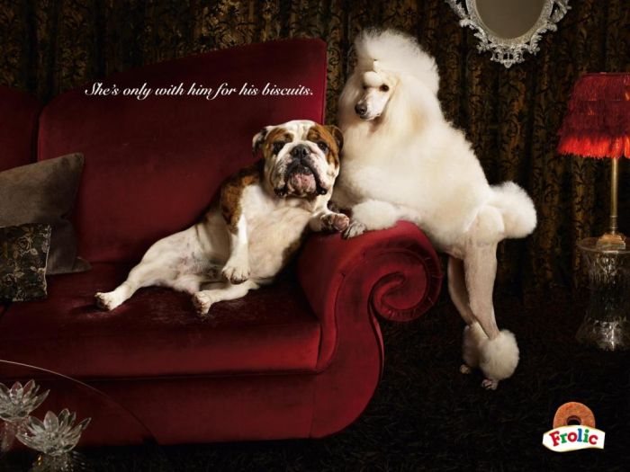 Cannes Lions Winners (237 pics, 2 pages)