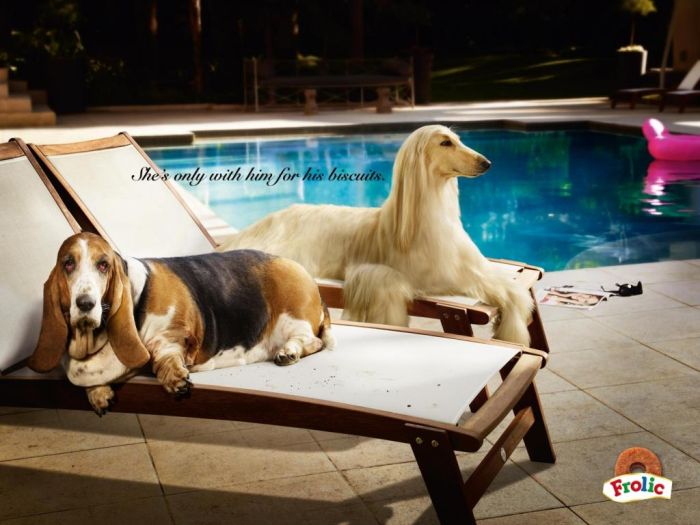 Cannes Lions Winners (237 pics, 2 pages)