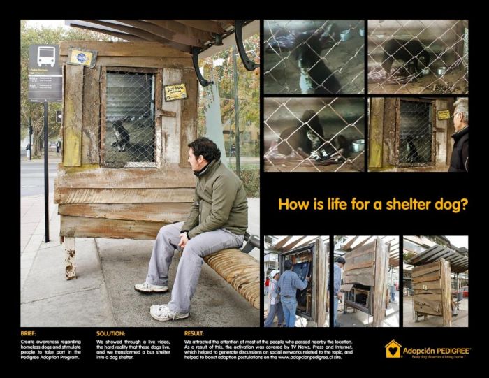 Cannes Lions Winners (237 pics, 2 pages)