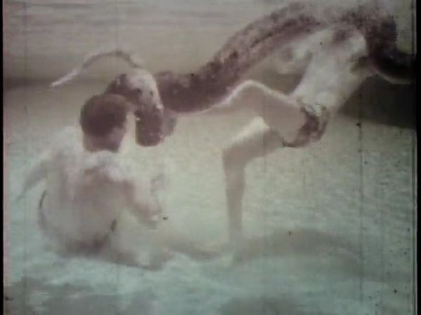 Underwater Wrestling with a 20-ft Anaconda (19 pics + video)