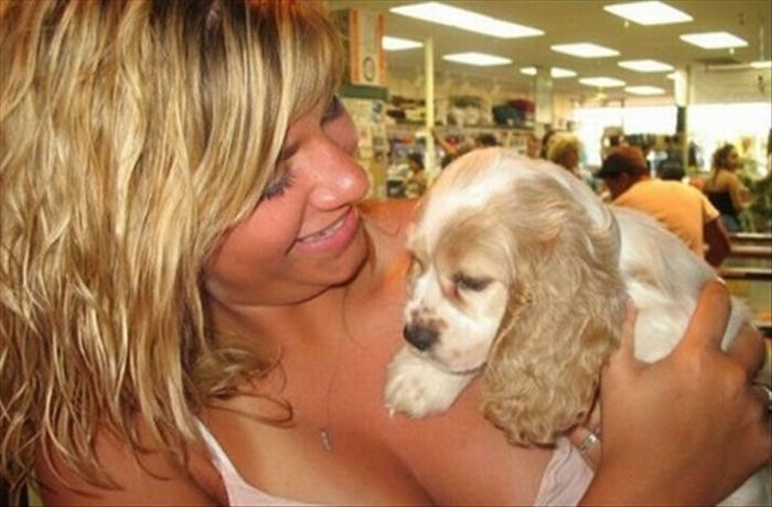 Even Pets Love Cleavage (16 pics)