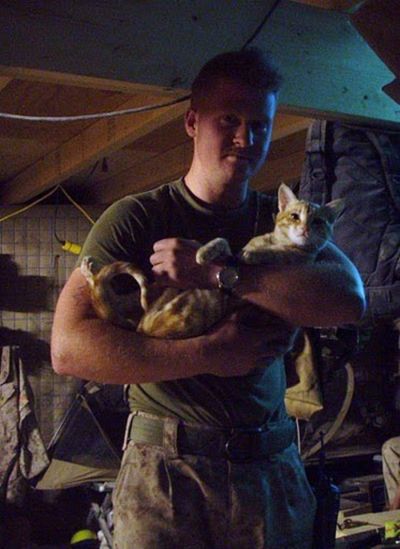 Kittens Found by US Marines in Afghanistan (21 pics)