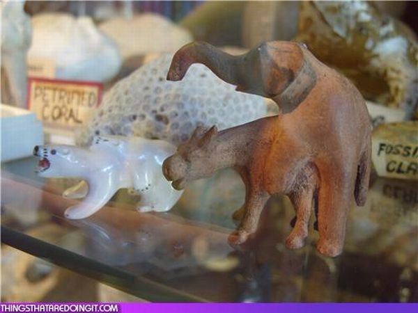 Epic Fails. Part 6 (72 pics)