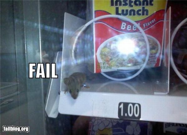 Epic Fails. Part 6 (72 pics)