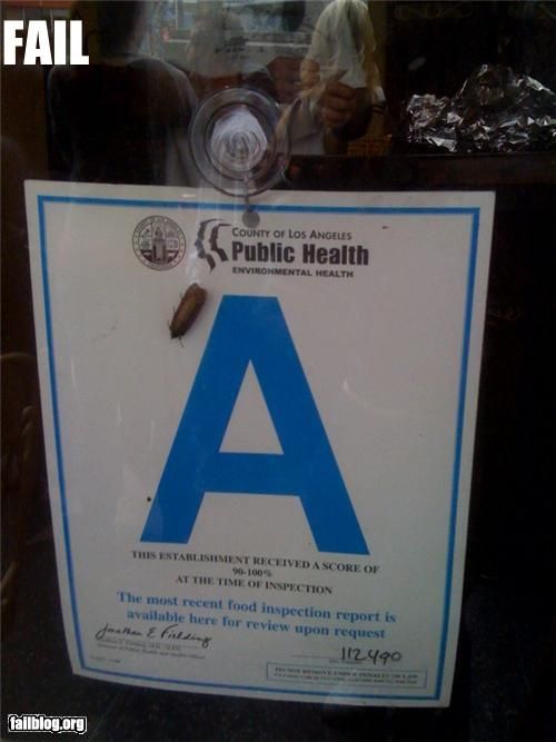 Epic Fails. Part 6 (72 pics)