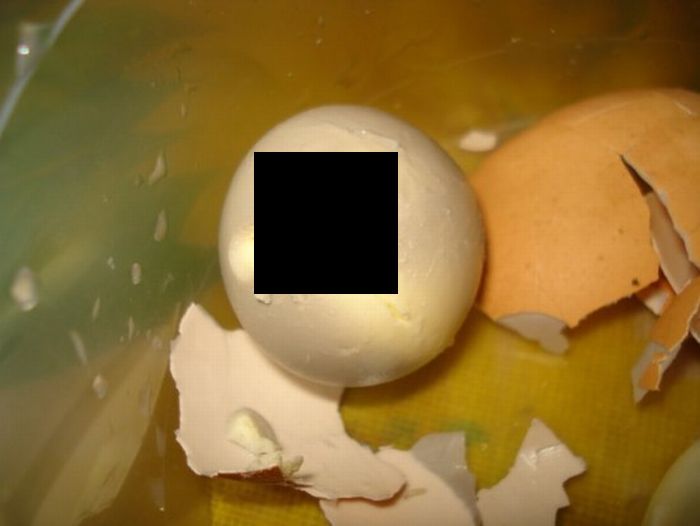 Strange Creatures Inside Boiled Eggs (2 pics + 1 video)