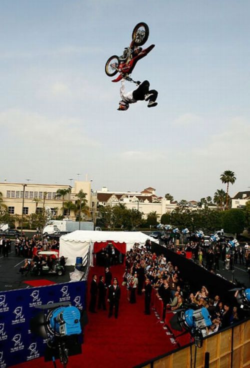 The Best Bike Stunts (30 pics)