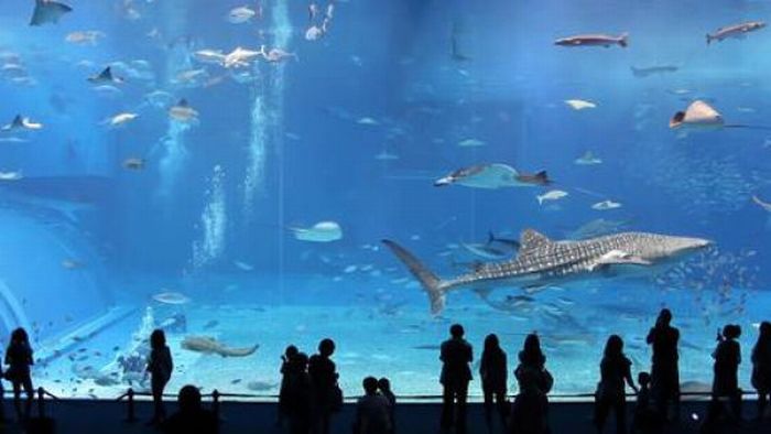 World's Largest Things (34 pics) World's Largest Things (34 pics)