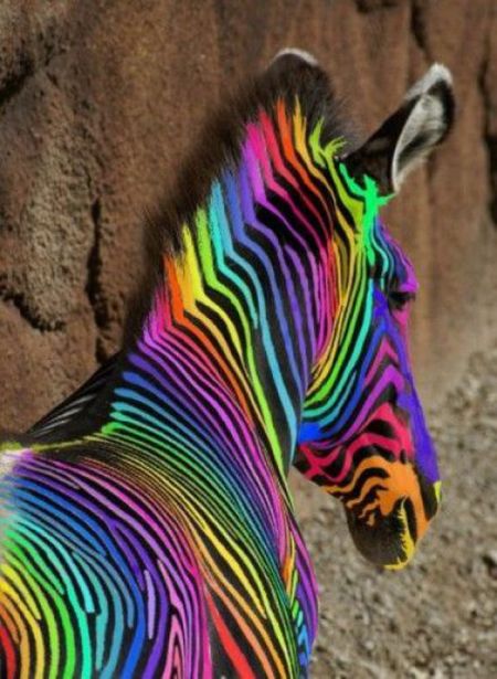 Acid Picdump (158 pics)