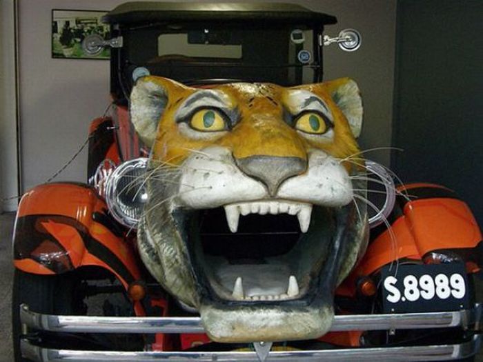 Acid Picdump (158 pics)