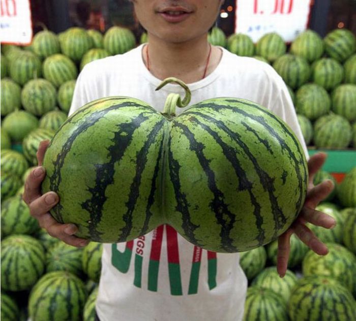 Acid Picdump (158 pics)