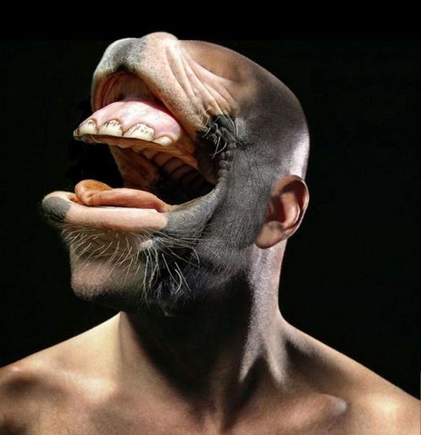 Acid Picdump (158 pics)