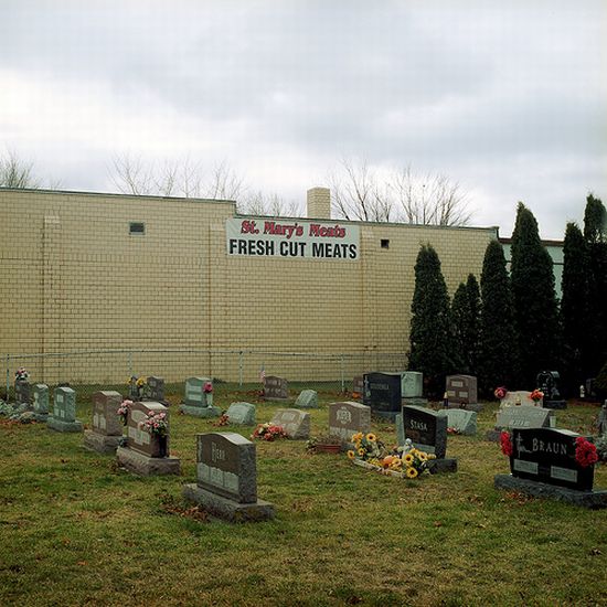 Acid Picdump (158 pics)