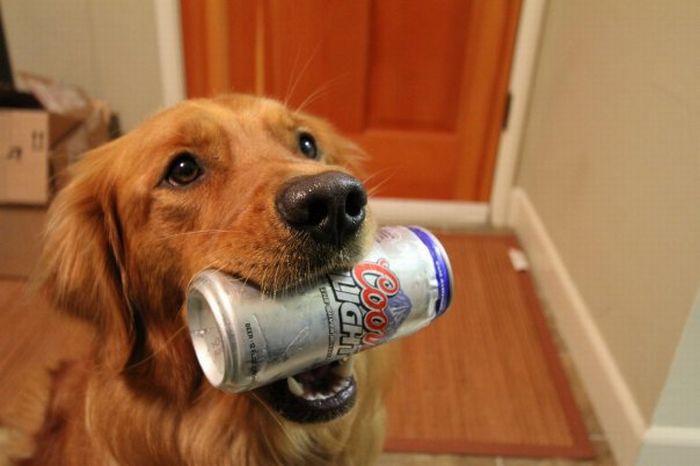 Acid Picdump (158 pics)