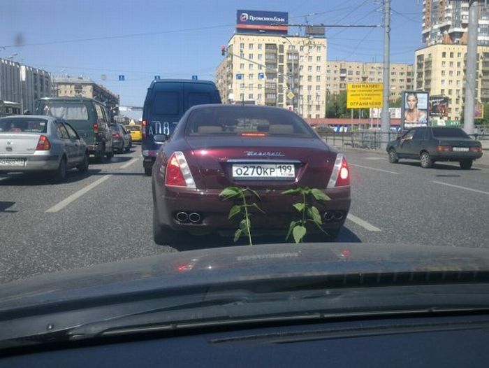Acid Picdump (158 pics)
