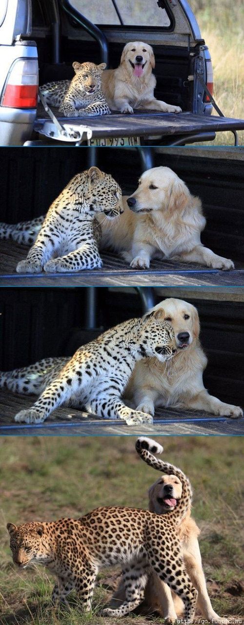Acid Picdump (158 pics)