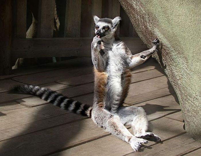 Acid Picdump (158 pics)
