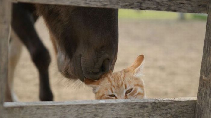 Acid Picdump (158 pics)
