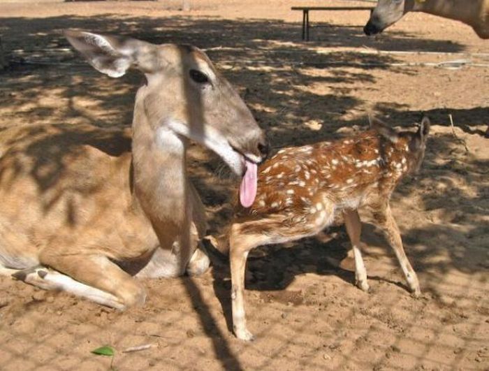 Acid Picdump (158 pics)