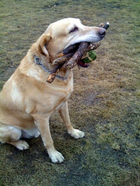 Acid Picdump (158 pics)