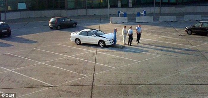 Acid Picdump (158 pics)