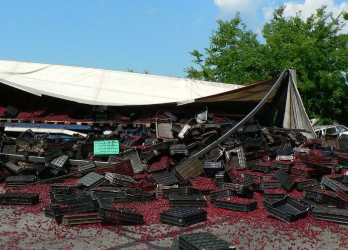 Truck Full of Cherries Accident (12 pics)